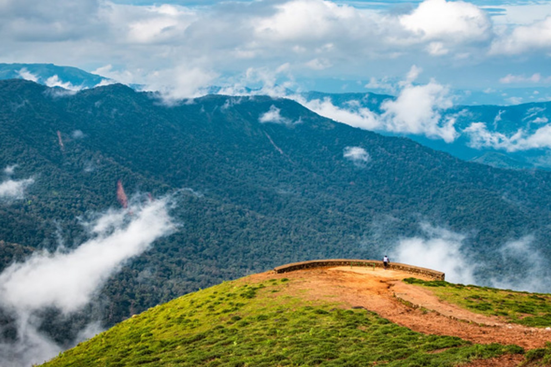 Munnar tea plantations