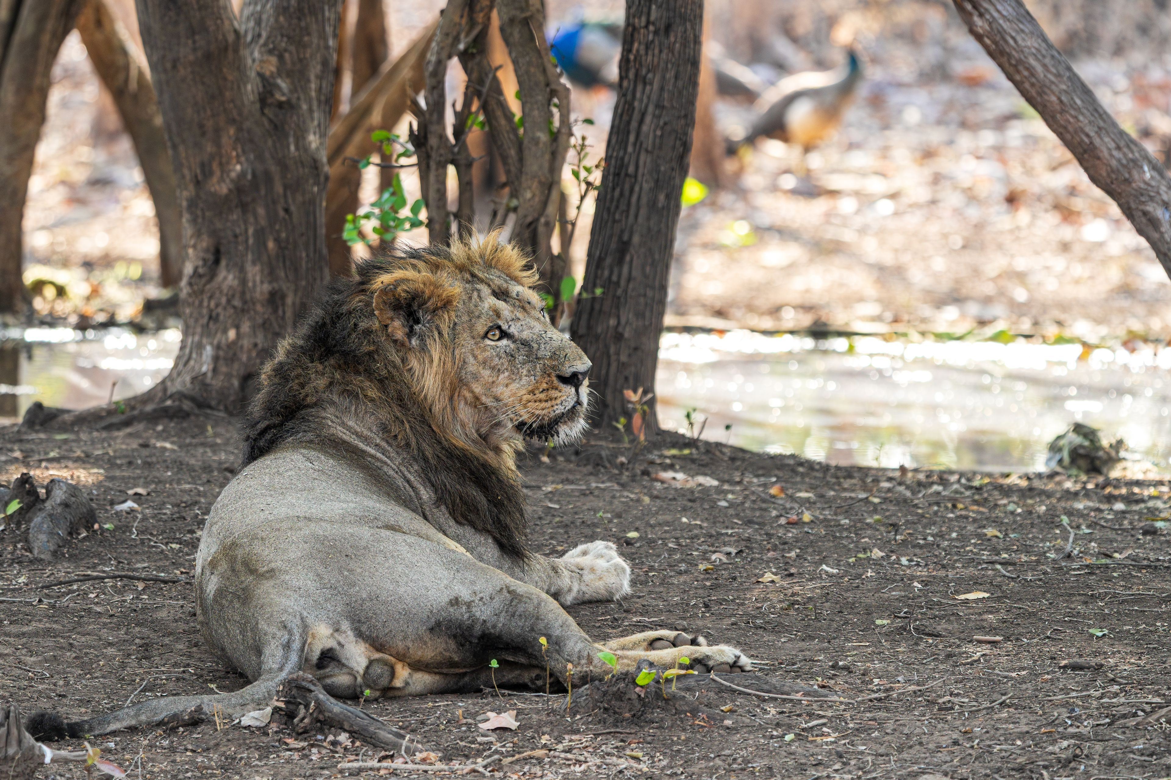 Gujarat tour photo 6 - Vinayak Holidays