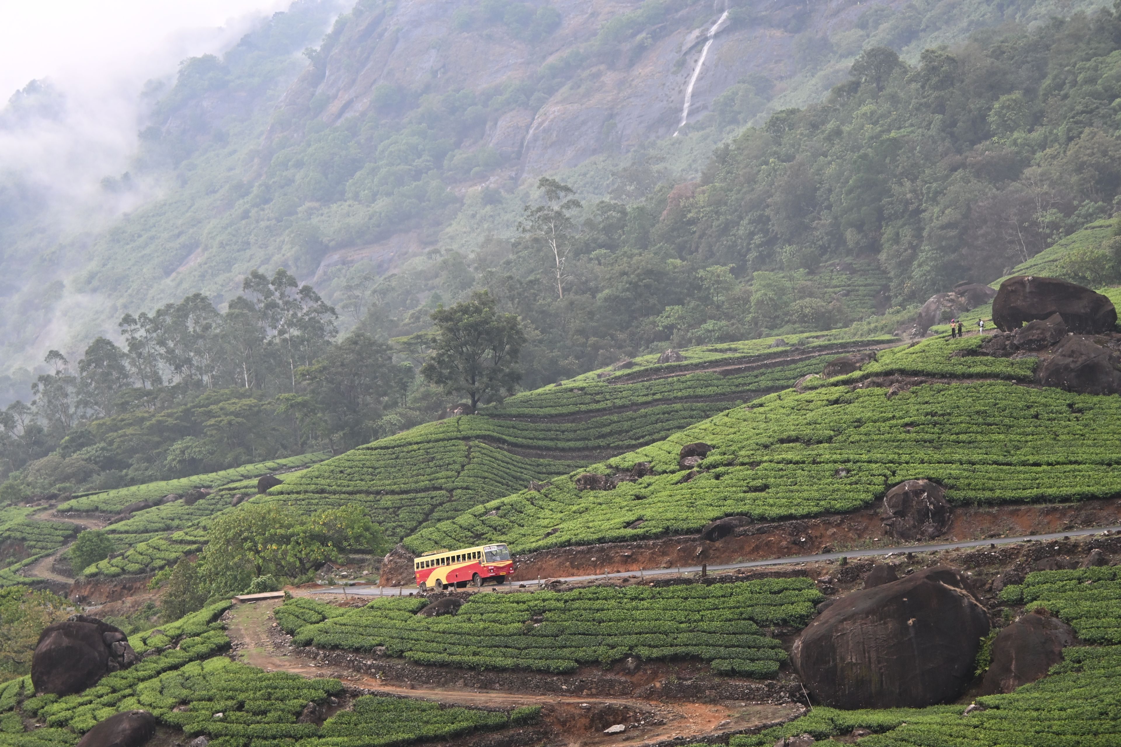 Kerala tour photo 3 - Vinayak Holidays