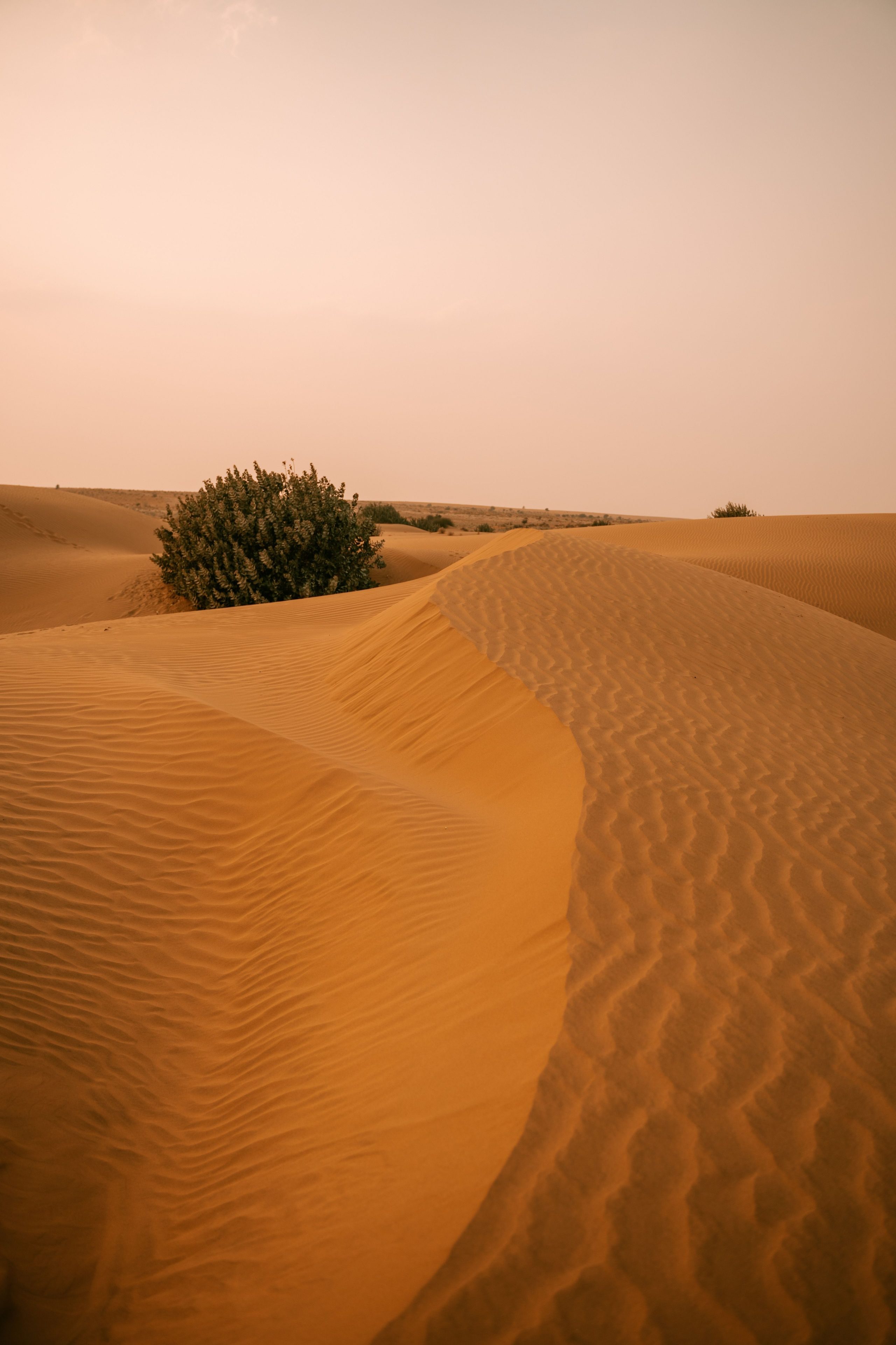Rajasthan tour photo 5 - Vinayak Holidays