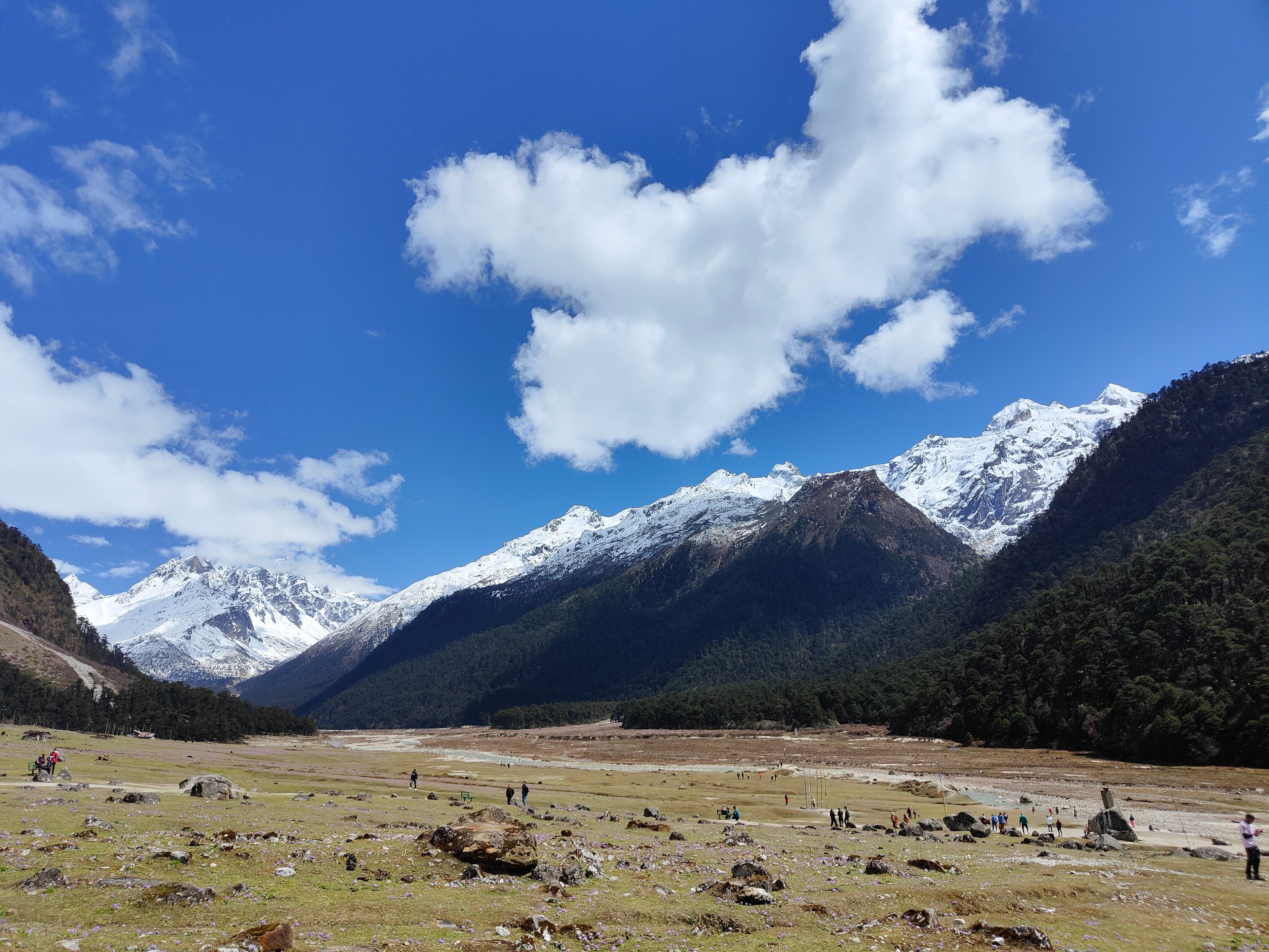 Sikkim & Darjeeling tour photo 7 - Vinayak Holidays