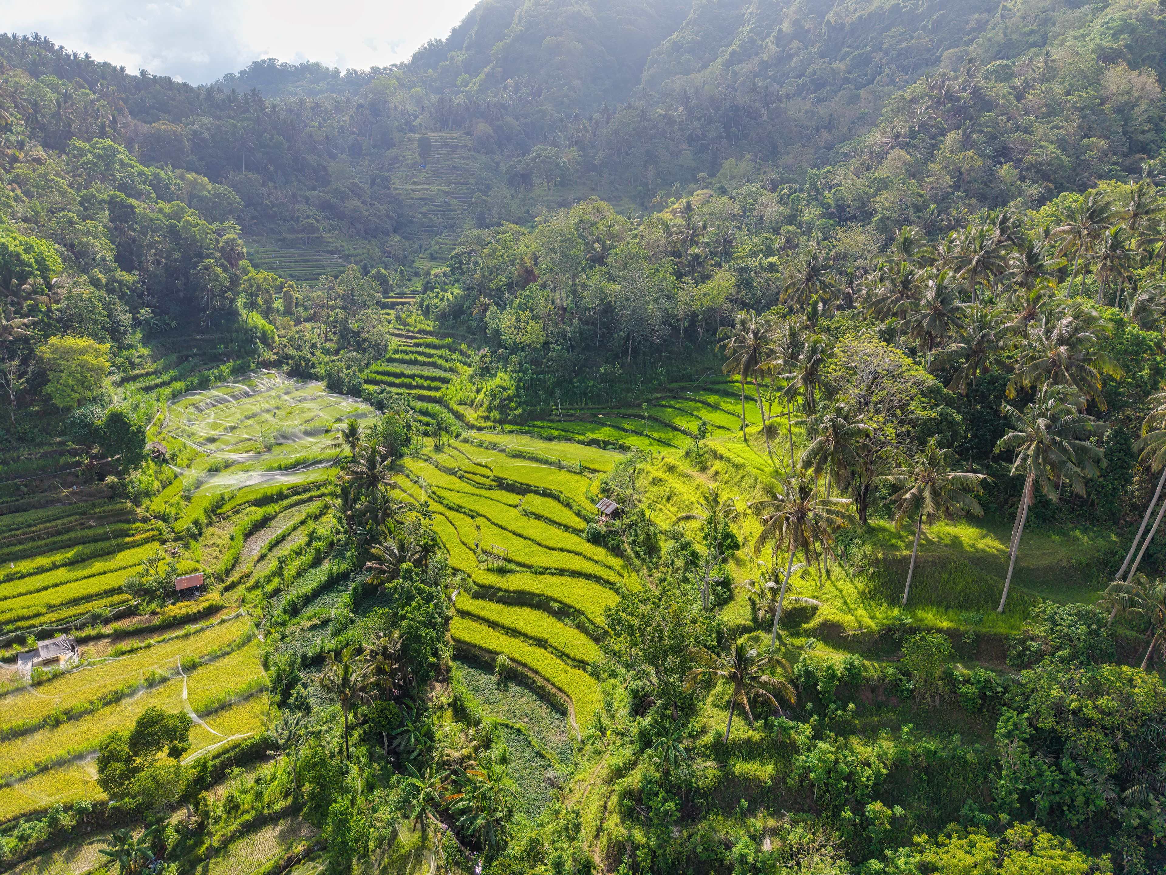 Bali tour photo 3