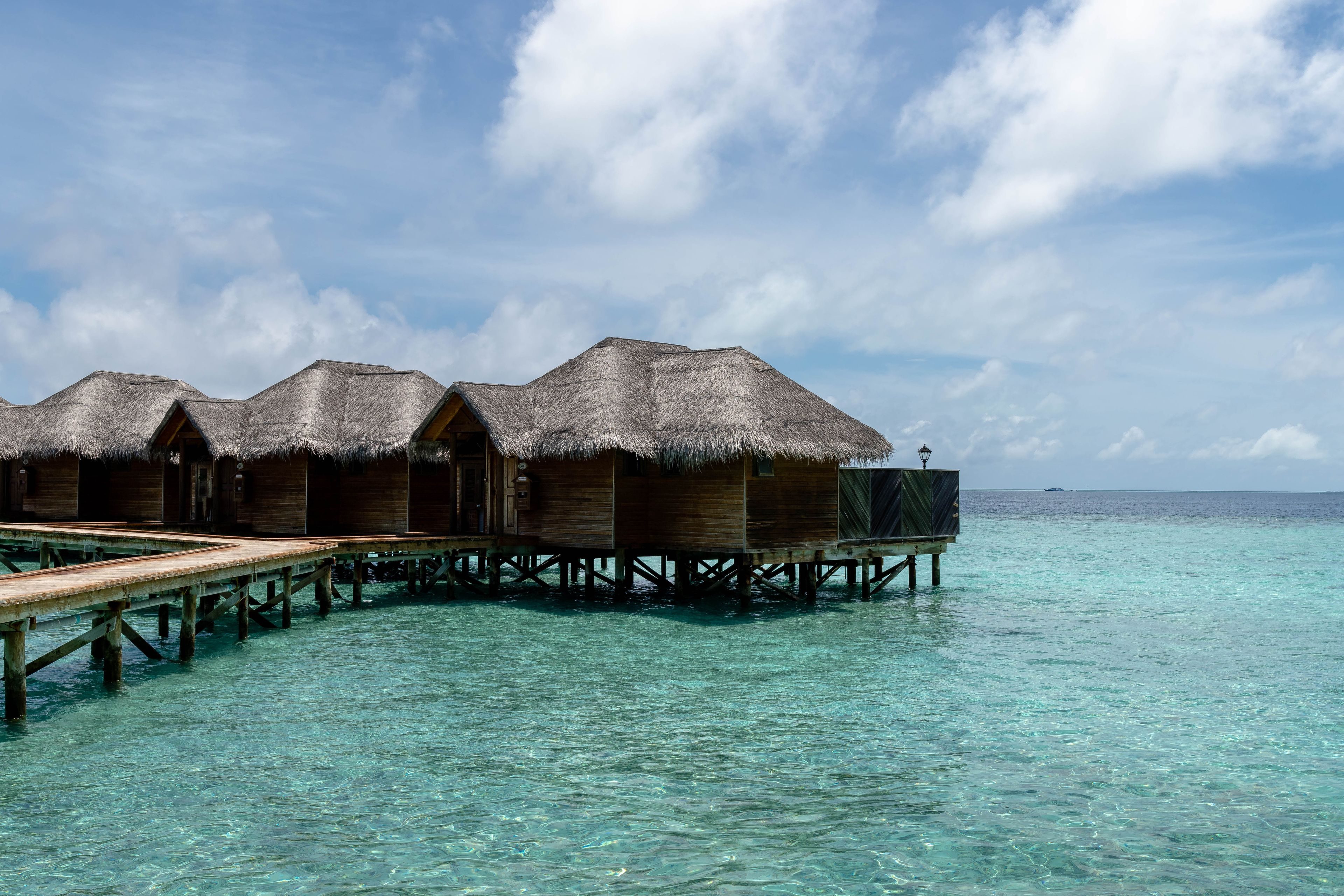 Maldives tour photo 4