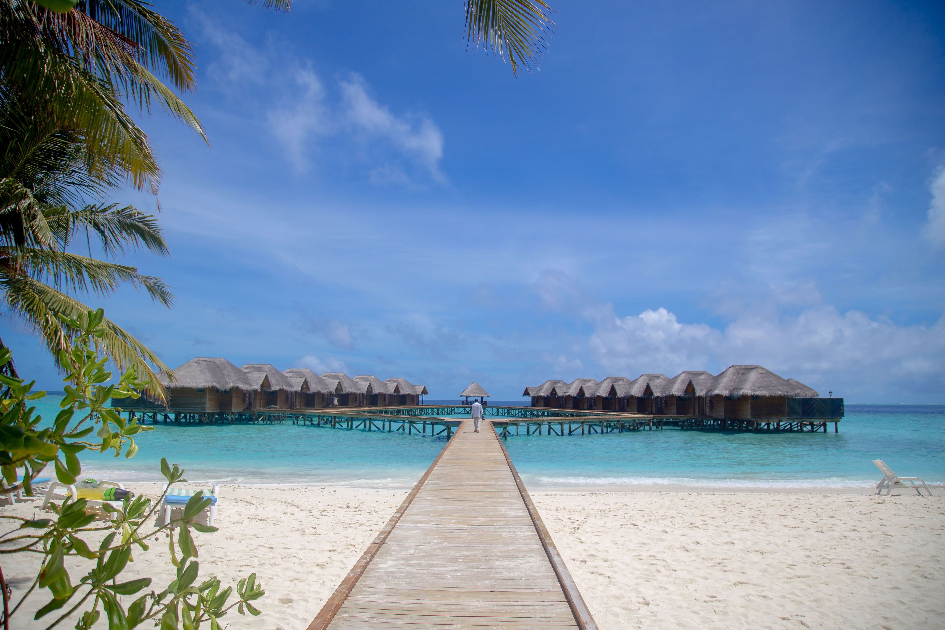 Maldives tour photo 6