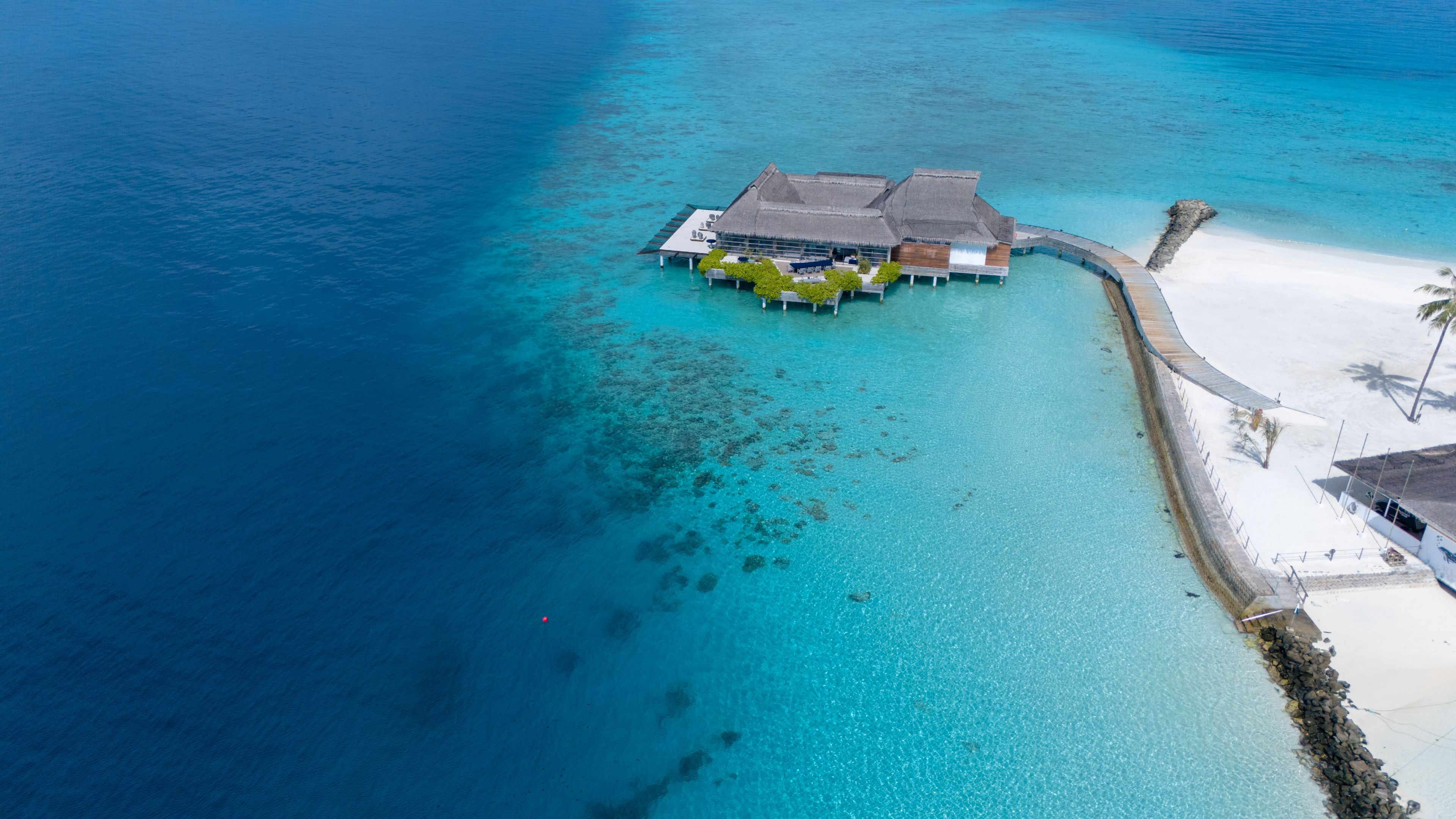 Maldives tour photo 8