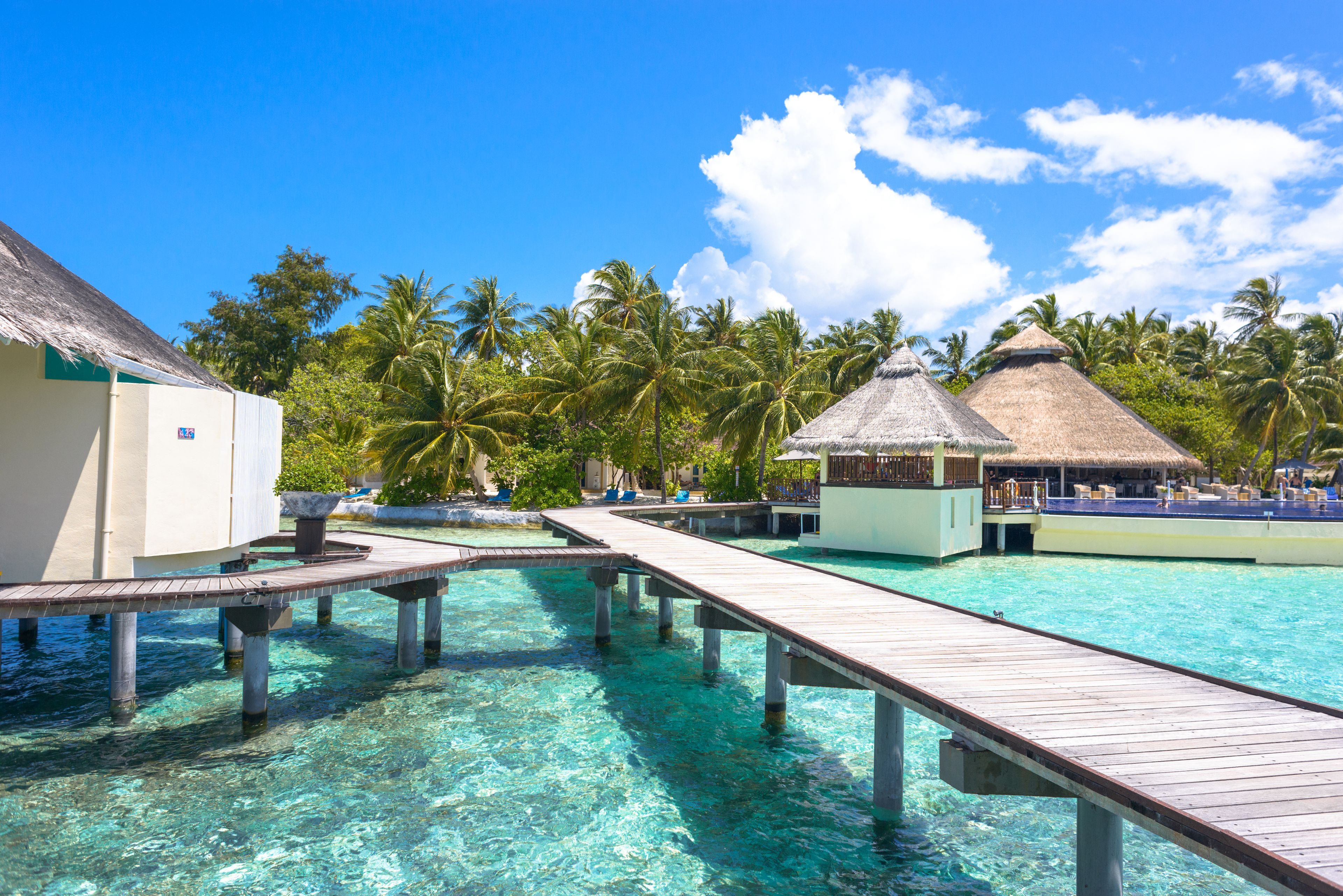 Maldives tour photo 9
