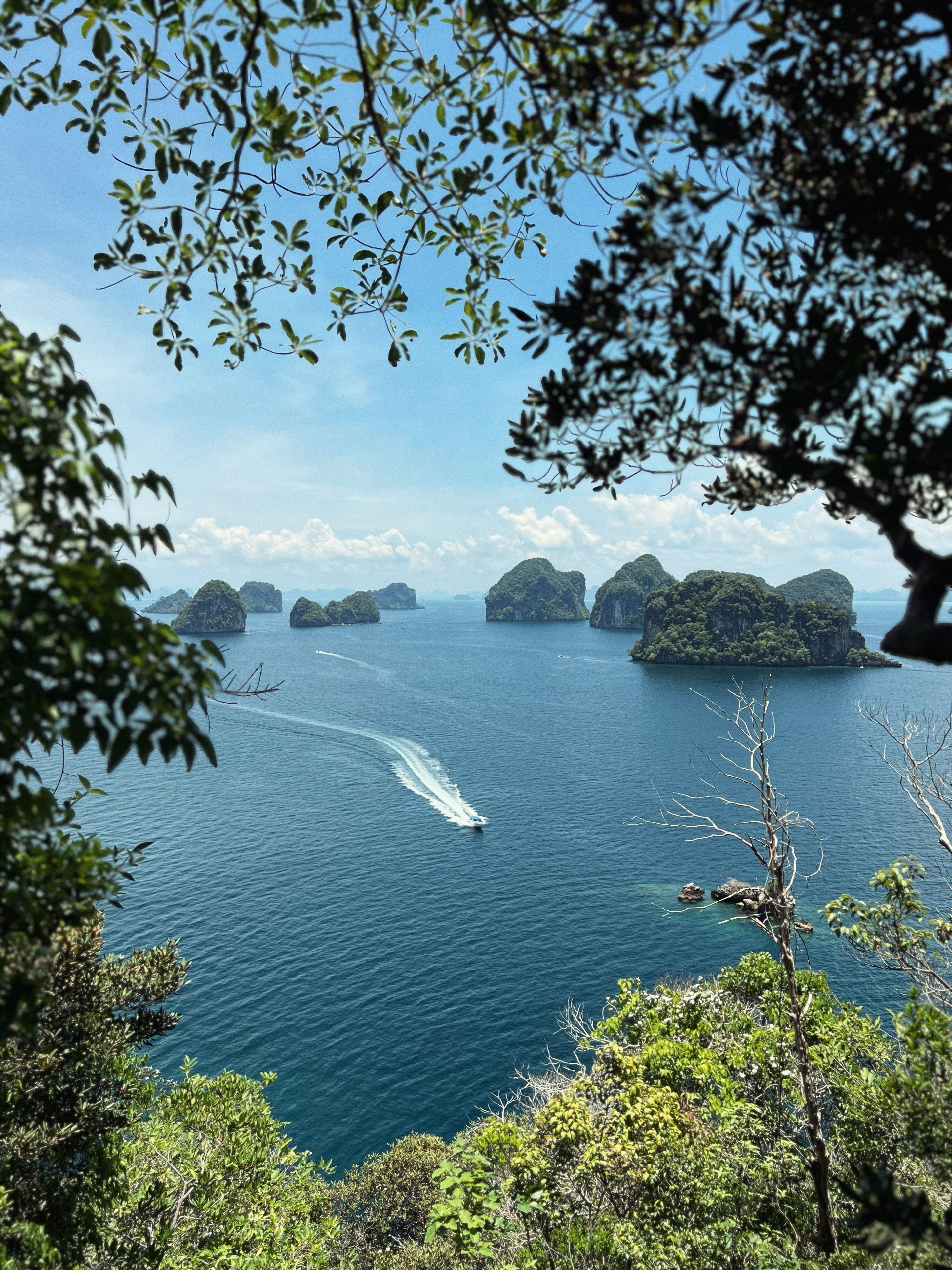 Phuket and Krabi tour photo 9