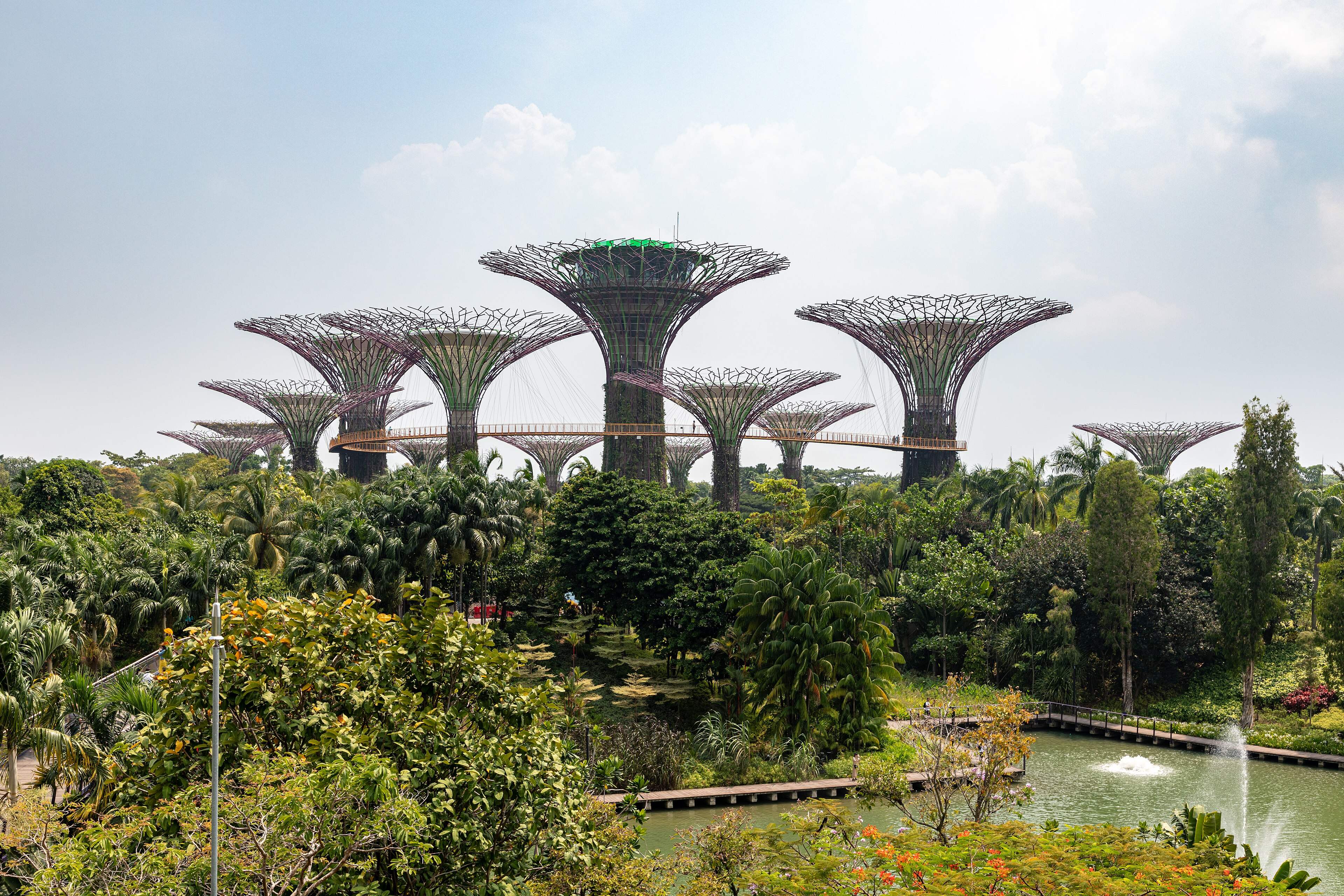 Singapore tour photo 9