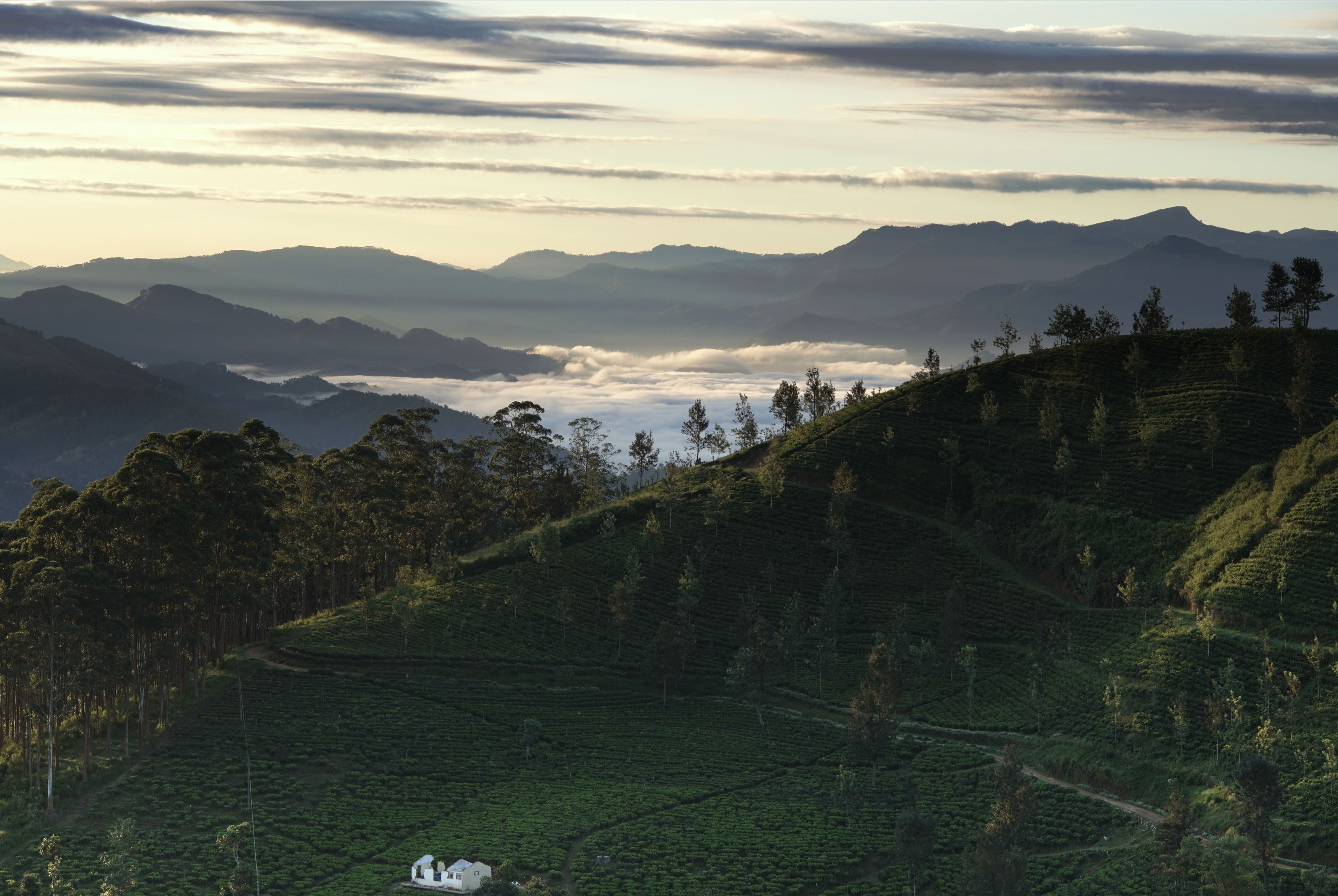 Sri Lanka tour photo 3