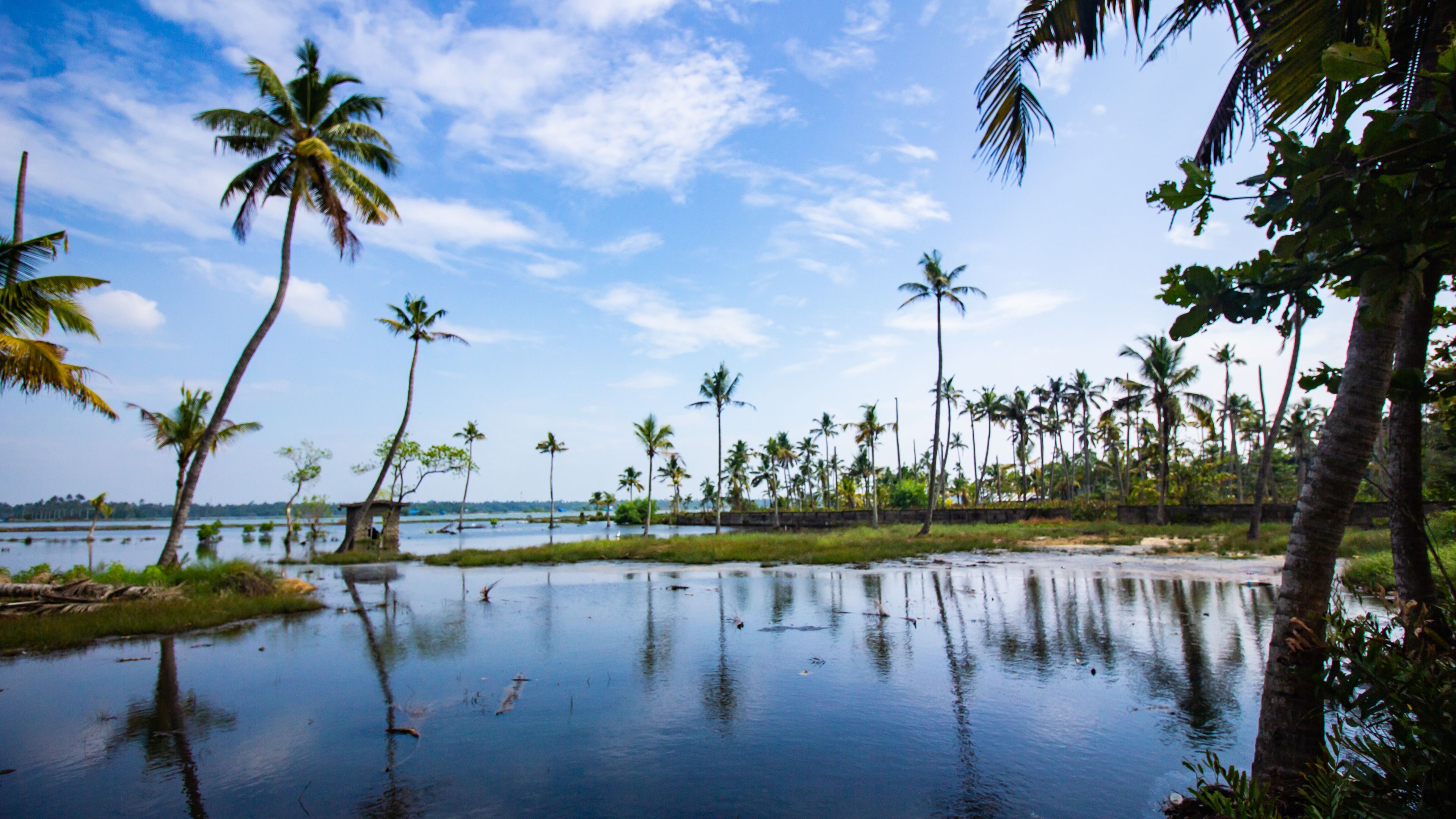 Sri Lanka tour photo 8